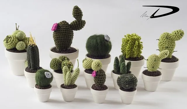 mini cactus MaryD | Flickr - Photo Sharing! | crochet cactus ...