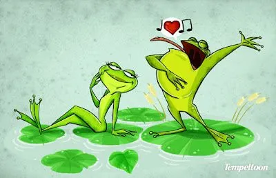Los Mínimos y Máximos de Félix Esteves: Romance de Renacuajos Los Mínimos y Máximos de Félix Esteves: Romance de Renacuajos