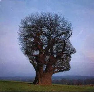 Nuestra mirada” coincide con la de nuestro árbol genealógico ...
