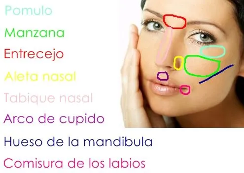 MiisMDeliiciious . . . Maquillaje, moda, tutoriales.: Partes de la ... MiisMDeliiciious . . . Maquillaje, moda, tutoriales.: Partes de la ...