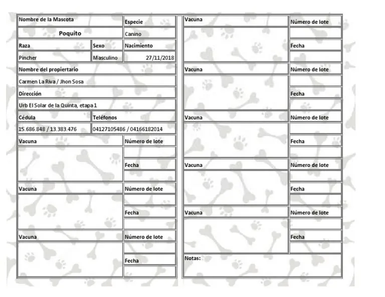 Modelo de Tarjeta de Vacunas para Mascotas | PDF