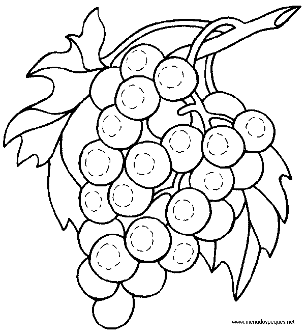 Flores y Frutas para pintar en tela - Imagui