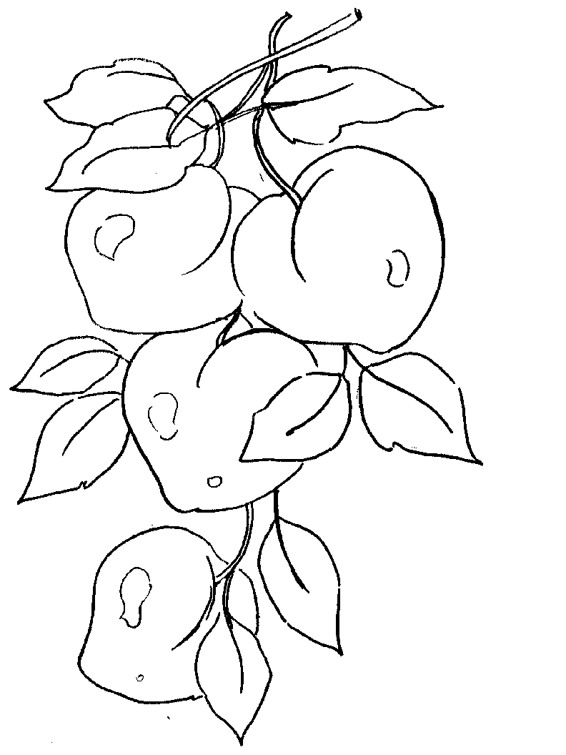 Moldes de Frutas e Legumes - Coleção de Moldes, Desenhos e Cores