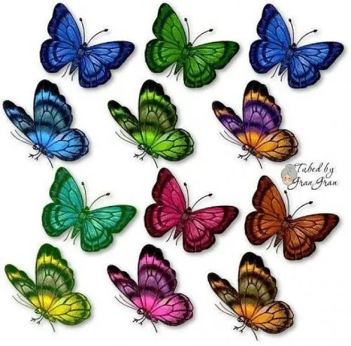 Mariposas para colorear y recortar - Imagui