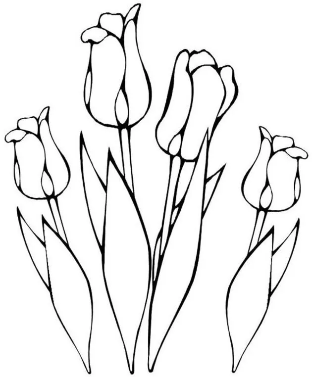 Moldes para vitrales | Shadow painting, Tulips, Coloring pages