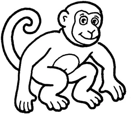 Dibujo de mono ardilla para colorear - Imagui