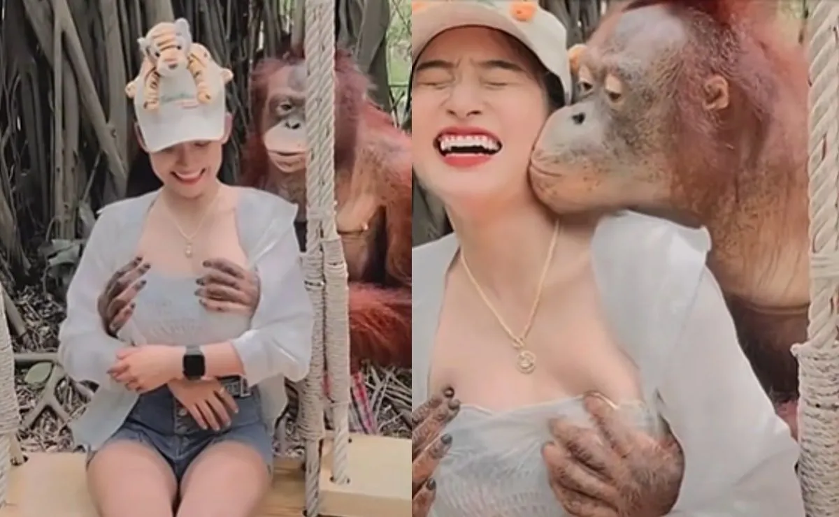 Mono besa y toca el busto a visitante de zoológico