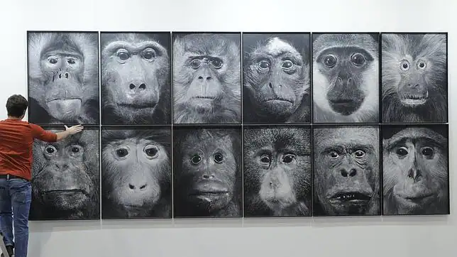 Monos muertos», de Oleg Kiluk - ABC.es