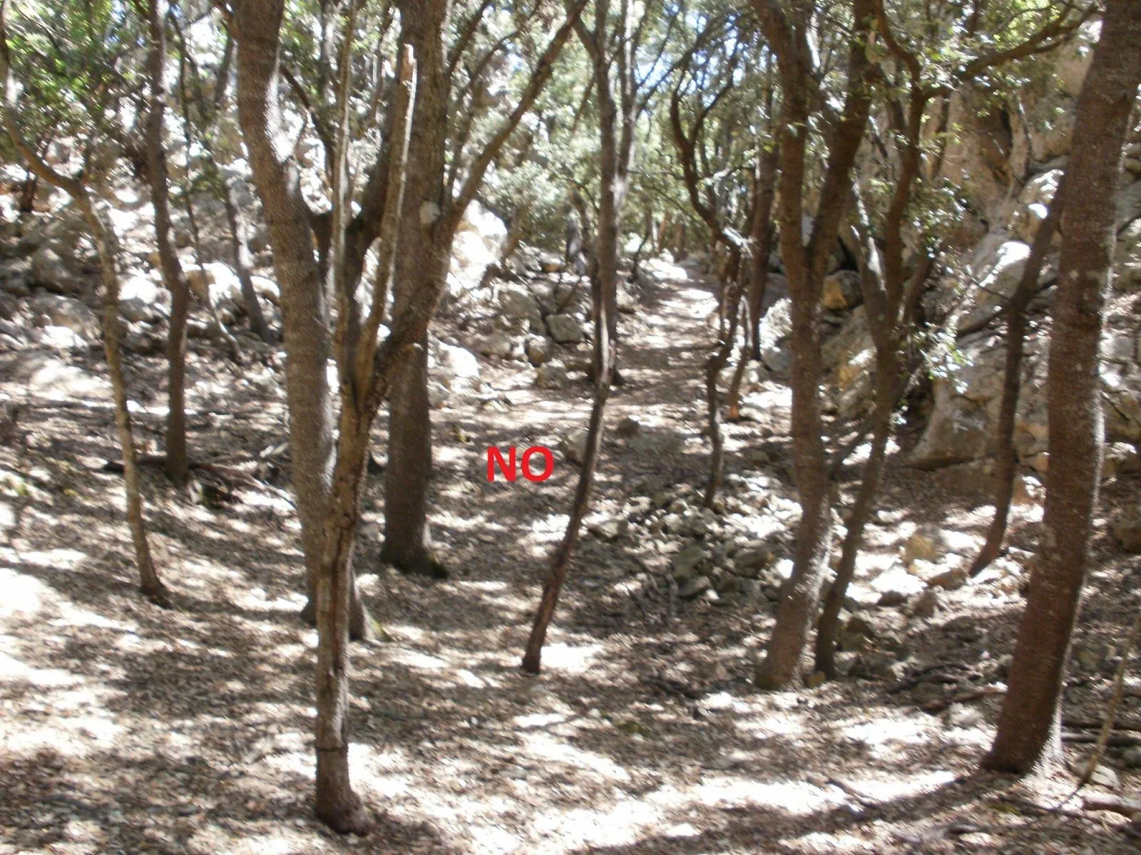 Mis días de montaña: Camí de s'Engegada i Pas de s' Mis días de montaña: Camí de s'Engegada i Pas de s'