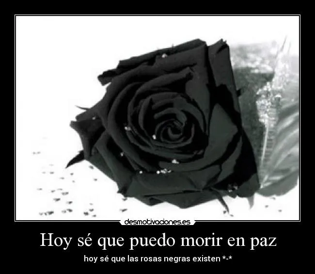 Imagenes de rosas negras con frases tristes - Imagui