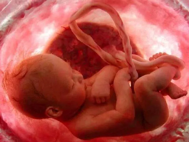 Los movimientos del bebé en el vientre