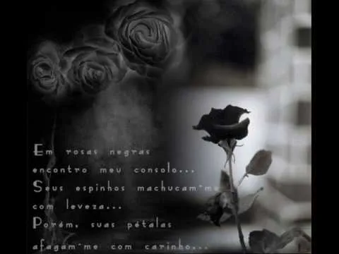 mr saik- rosas negras ♥Reggae Romantico 2009♥ - YouTube