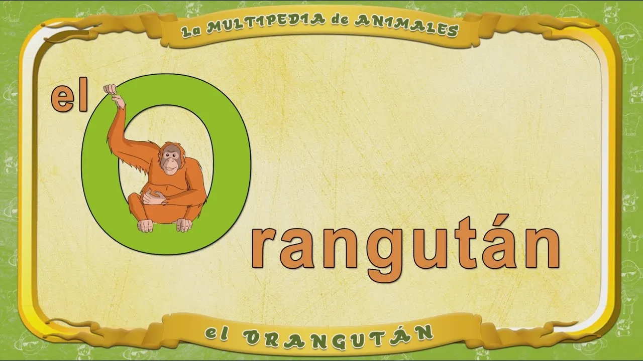 la Multipedia de animales. Letra O - el Orangután - YouTube