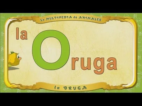 Multipedia de los animales - Letra O - la Oruga - YouTube
