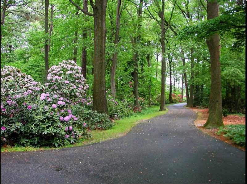 LA MULTIPLICACIÓN DEL PARAÍSO - Poemas Poesias Versos y Rimas de ... LA MULTIPLICACIÓN DEL PARAÍSO - Poemas Poesias Versos y Rimas de ...