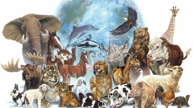 El Día Mundial de los Animales se celebra hoy en todo el planeta ... El Día Mundial de los Animales se celebra hoy en todo el planeta ...