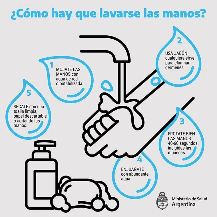 Día Mundial del lavado de manos: cuáles son los 5 pasos esenciales para  hacerlo bien - Infobae