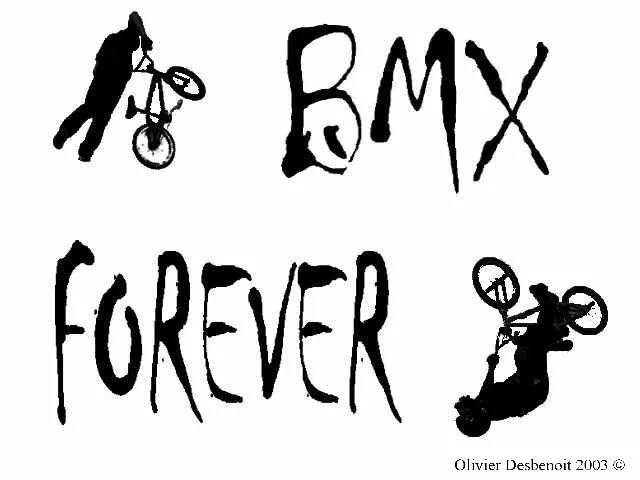 El Mundo de las BMX xtreme: BMX