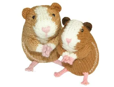 Muñecos en dos agujas o palillos on Pinterest | Guinea Pigs ...