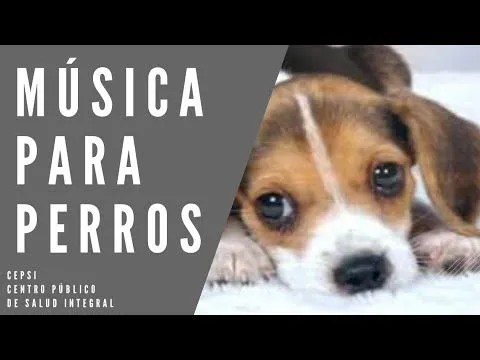 MUSICA Y VIDEO PARA DORMIR SONIDO PERRO DURMIENDO ♫ SOUND OF ...