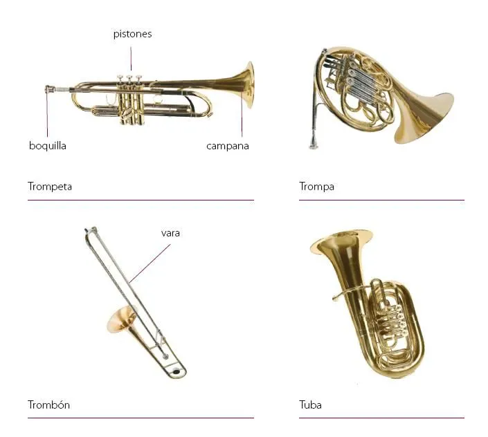 ESO ES MÚSICA: VIENTO MADERA vs VIENTO METAL ¿cuál es cuál? ESO ES MÚSICA: VIENTO MADERA vs VIENTO METAL ¿cuál es cuál?