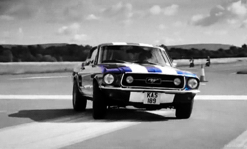Mustang GT 390 baby : gif