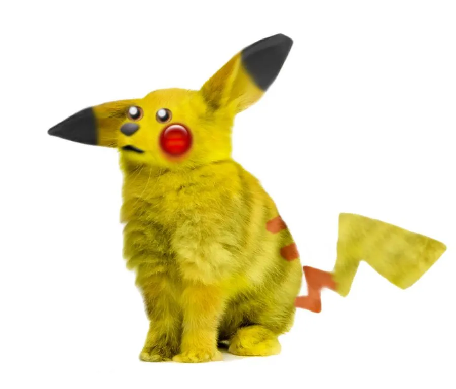 My Team's Pikachu Real Life by SacroTheHedgehog on DeviantArt My Team's Pikachu Real Life by SacroTheHedgehog on DeviantArt