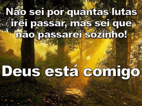 Não sei por quantas lutas irei passar, mas sei que não passarei ... Não sei por quantas lutas irei passar, mas sei que não passarei ...