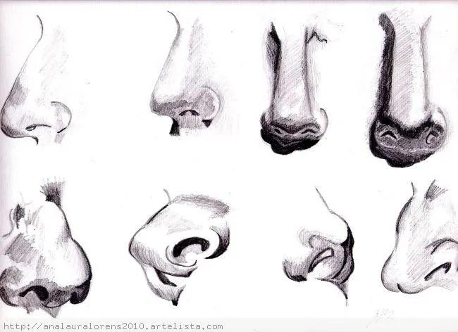 Dibujos a lapiz de nariz - Imagui