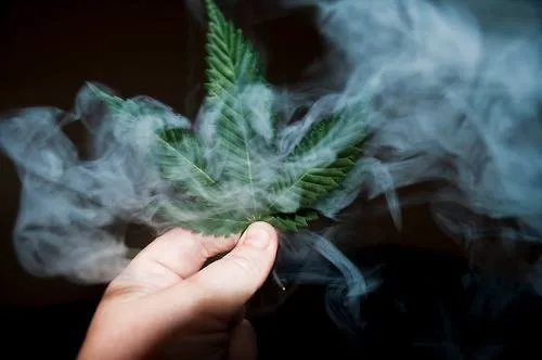 Natural Herb" 