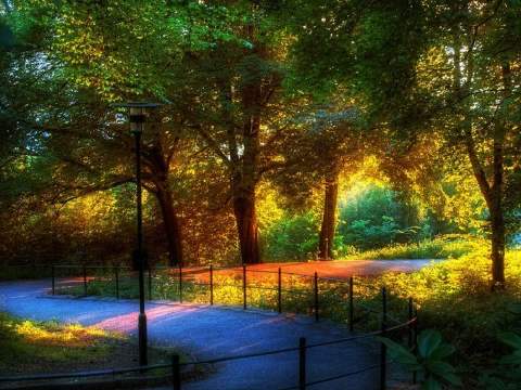 Toda la naturaleza en 50 fondos de pantalla en HD : Recursos ... Toda la naturaleza en 50 fondos de pantalla en HD : Recursos ...