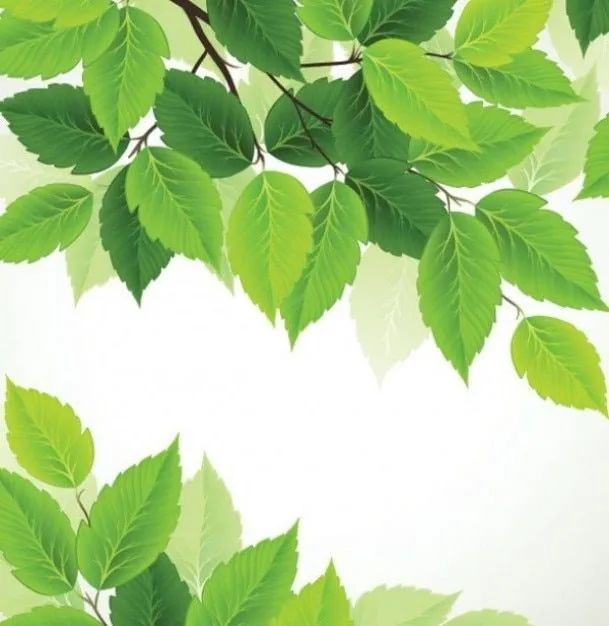 La naturaleza de fondo con hojas verdes | Descargar Vectores gratis
