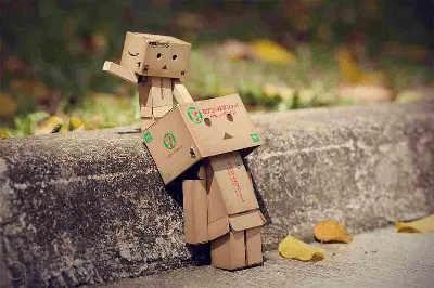 netDelicias: El pequeño hombre de cajas de cartón: Danbo netDelicias: El pequeño hombre de cajas de cartón: Danbo