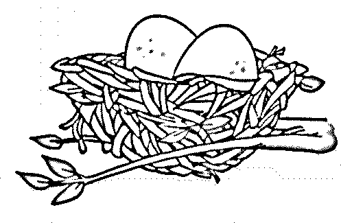 Dibujo de nidos de aves para colorear - Imagui