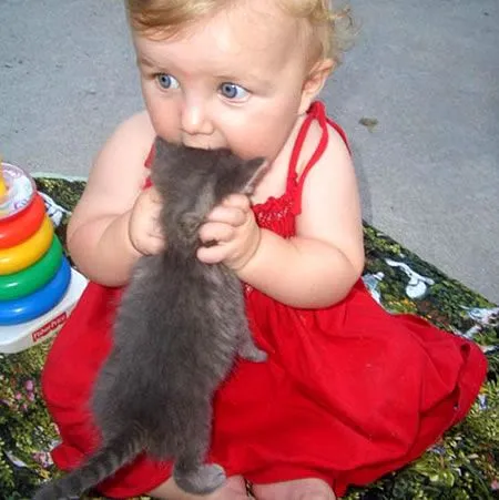 niña come gatos.