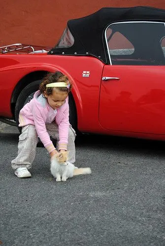 Niña, gato y coche