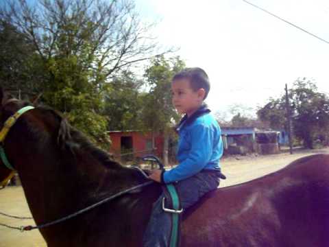 Niño de 3 años montando a caballo! - YouTube