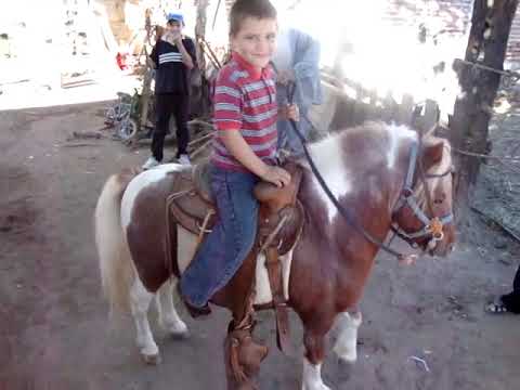Niño Bailando un Caballo Pony. - YouTube