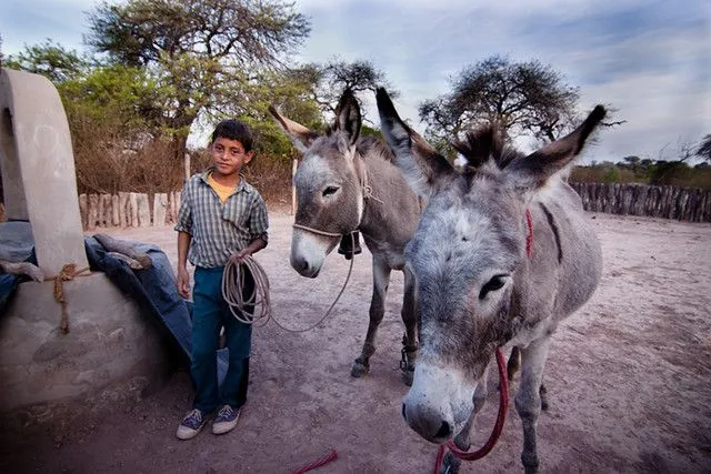 Niño Campesino. Santiago del Estero. Argentina- | Flickr - Photo ...
