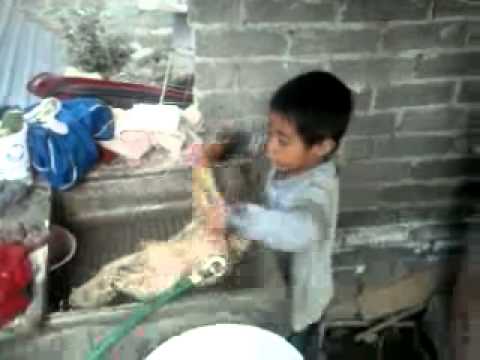 Niño Pequeño Lavando Ropa - YouTube