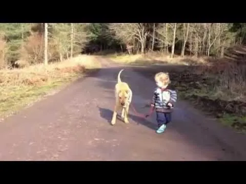 Niño saca a pasear a su perro "Esperame acá que ya vuelvo" - YouTube