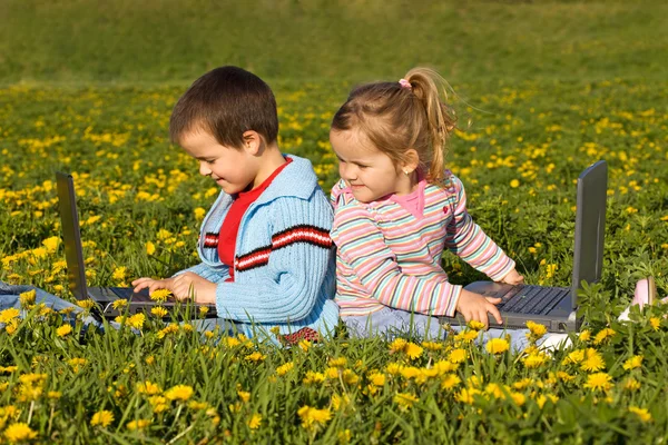 niños con sus computadoras portátiles en el campo de flores — Foto ...