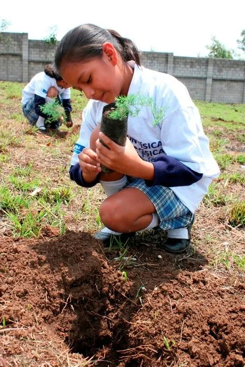 Niños sembrando arboles imagenes - Imagui