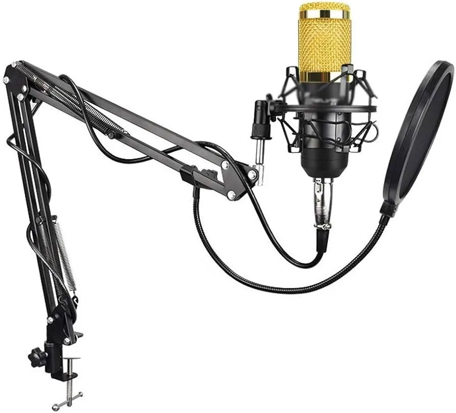 NIVOK Micrófono de Condensador de grabación Profesional 3,5-XLR sin Ruido  para computadora, Tarjeta de Sonido en Vivo, micrófonos vocales de Karaoke  : Amazon.com.mx: Instrumentos Musicales
