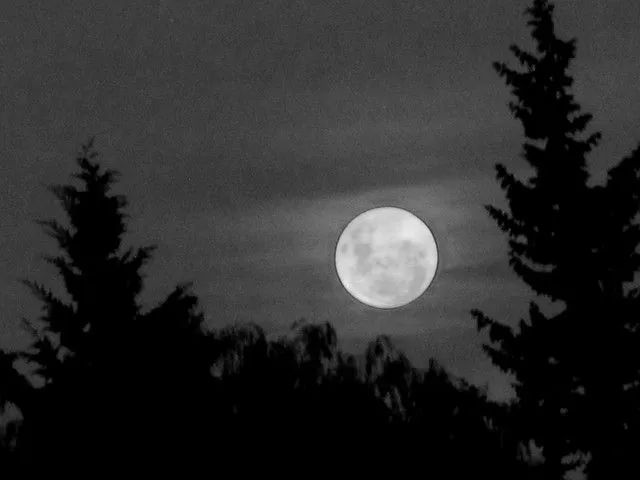 Noche de Luna llena | Flickr - Photo Sharing! Noche de Luna llena | Flickr - Photo Sharing!
