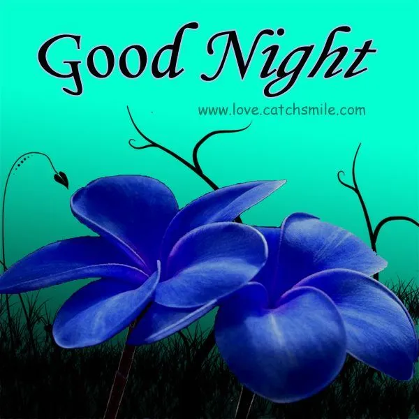 Buenas noches azules flores gráfico | GOOD NIGHT•☆.MENSAJE DE ...