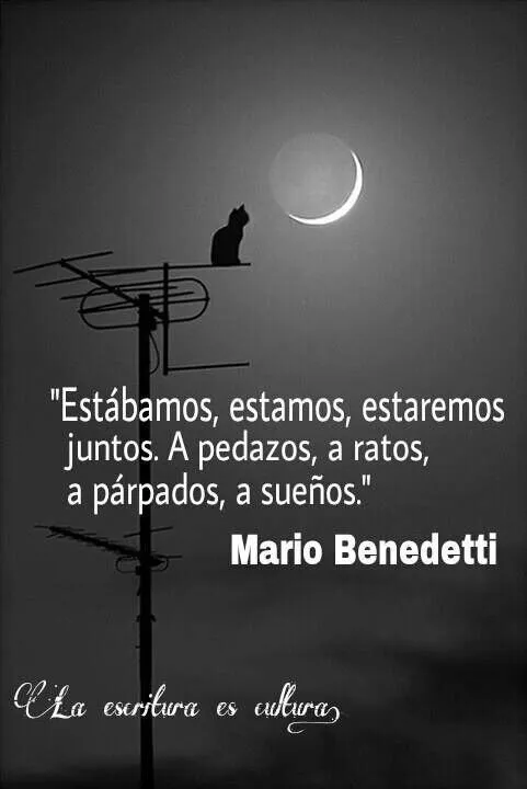 Buenas noches | Frases | Pinterest | Amor, Have A Great Day and Te Amo