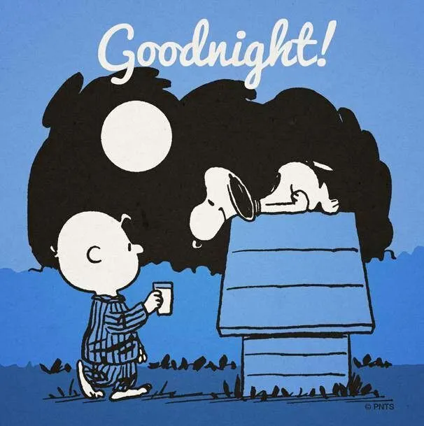 Buenas noches Snoopy | CITAS Y REFLEX | Pinterest | Sueño y Snoopy
