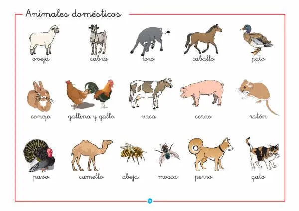 Nombres de animales salvajes y domesticos en inglés, con imagenes ...