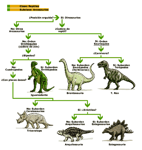 Nombre dinosaurios - Imagui